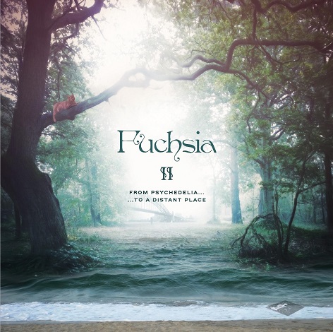 Fuchsia II on vinyl
